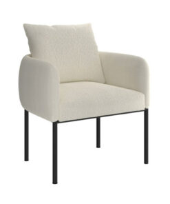 Zana Accent Chair in Cream and Black