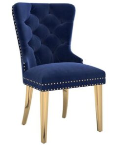 Mizal Side Chair, Set Of 2 In Navy And Gold