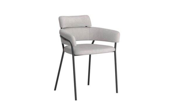 Axel Side Chair, Set Of 2 In Grey And Black