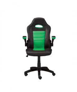 Gaming Chair - Black/Green