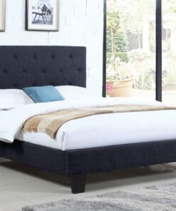 T2366 Double Size Bed Blue