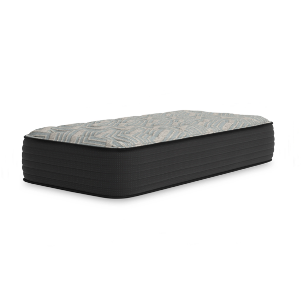 Palisades Firm Twin Mattress
