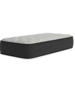 Palisades Plush Twin Mattress