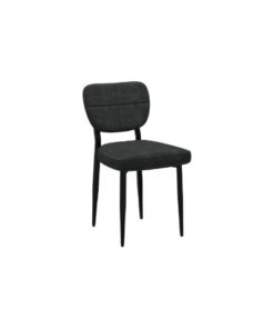 Zeke Dining Chair, Set of 2, in Charcoal and Black