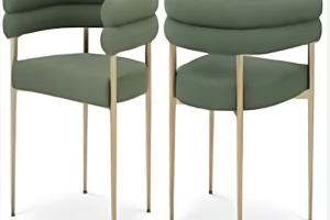 DINING CHAIR SET OF 2 - GREEN/GOLD