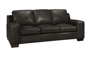 Bailey Sofa Set