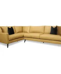 Anejo Leather Sectional