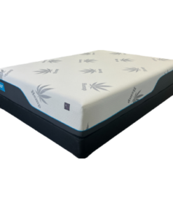 HEALTHY BEDS Rx 2
