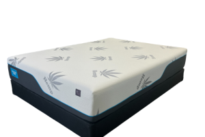 HEALTHY BED RX3