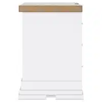 Ashbryn Bedroom Set - Image 34