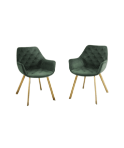 Modern Velvet Dining Chair