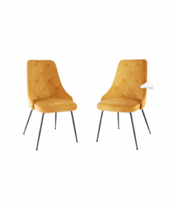 Modern Velvet Dining Chair Set of 2