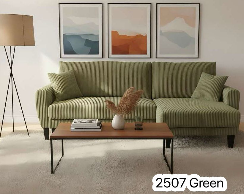 2507 Sectional Sofa Bed