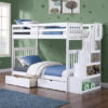 B-1847 Bunk Bed - Furniture Trends