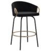 Lavo 26" Counter Stool with Swivel, Set of 2 in Black and Aged Gold - Furniture Trends