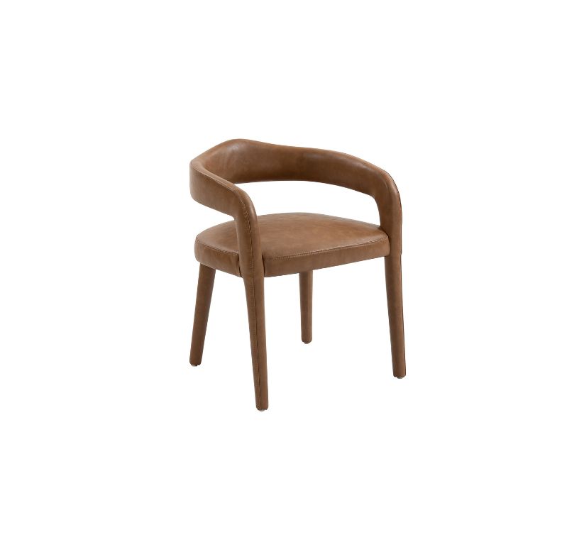 Caden Dining/Lounge Chair, Set of 2 in Saddle