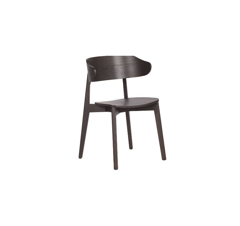 Khari Dining/Lounge Chair, Set of 2 in Mocha