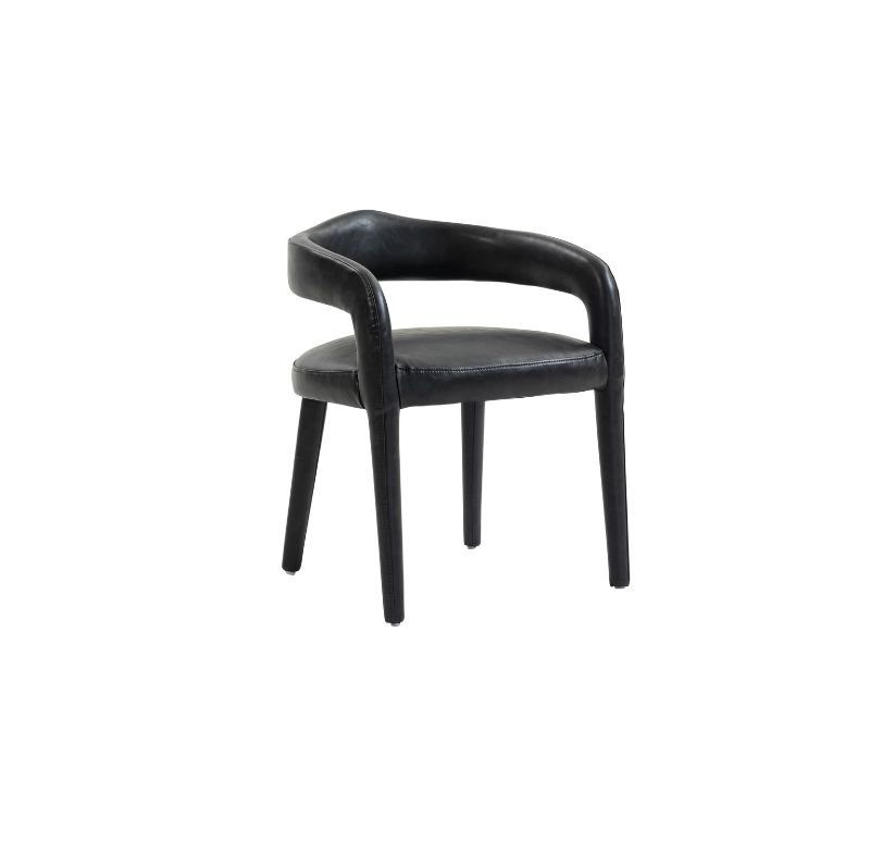 Caden Dining/Lounge Chair, Set of 2 in Charcoal